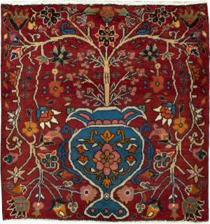 Shiraz 69x69