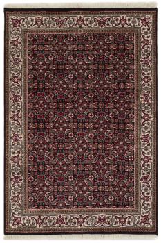 Indo Bidjar 149x99