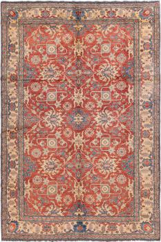 Super Kazak 336x232