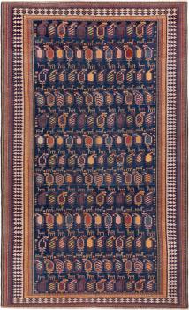 Shirvan Gammel 315x196