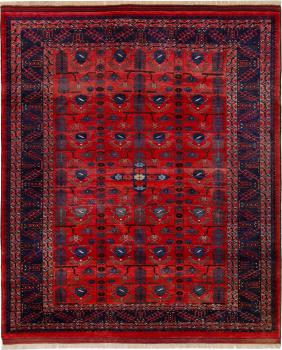 Afghan Kunduz 305x250