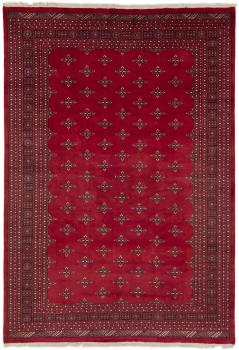 Pakistan Buchara 2ply 361x251