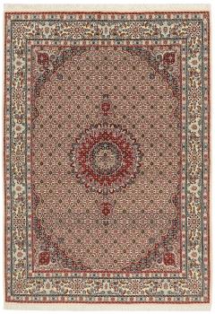Moud Mahi 241x165