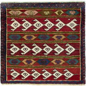 Shiraz 61x62