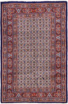 Moud 154x100