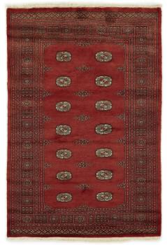 Pakistan Buchara 3ply 204x135