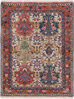 Bakhtiar Chaleshotor 147x113