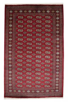 Pakistan Buchara 3ply 242x155