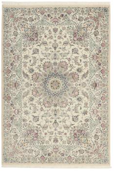 ナイン 6La Sherkat 209x141