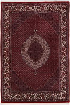 Bidjar 291x199