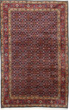 Tabriz 40Raj 281x179