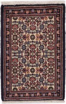 Bidjar 59x39