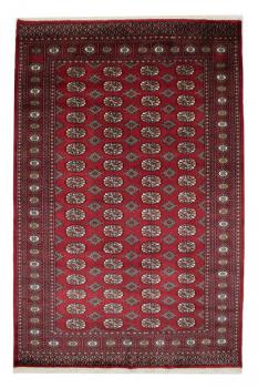 Pakistan Buchara 3ply 239x155