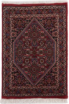 Bidjar 61x39