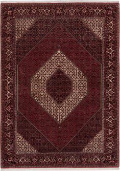 Bidjar 289x206