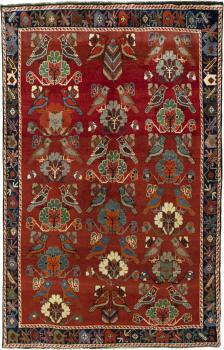 Persan Gabbeh Ghashghai 249x161