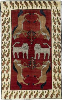 Shiraz 251x158