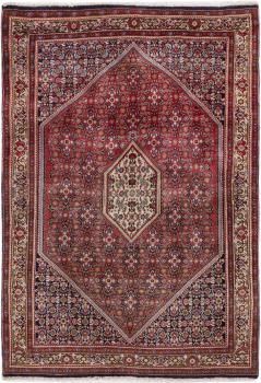 Bidjar 163x113