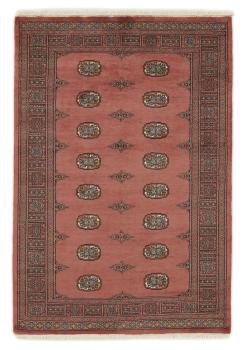 Pakistan Buchara 3ply 199x138