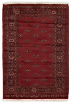 Pakistan Buchara 3ply 203x139