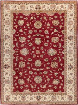 Ziegler Farahan 373x275