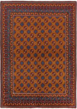 Afghan Akhche Limited 290x204