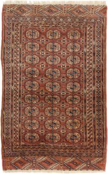 Afghan Mauri 167x99