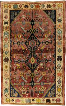 Shiraz 234x157