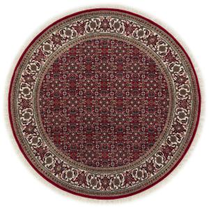 Indo Bidjar 99x101