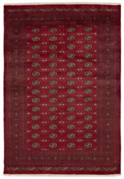 Pakistański Buchara 3ply 298x203