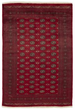 Pakistański Buchara 3ply 294x203