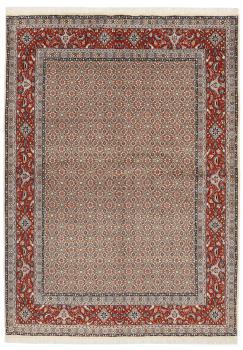 Moud Mahi 242x169