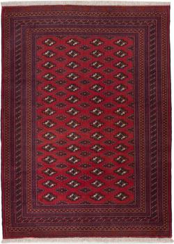 Beluch 185x135