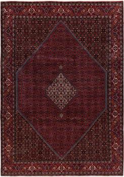 Bidjar 341x244