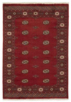 Pakistan Buchara 3ply 205x141