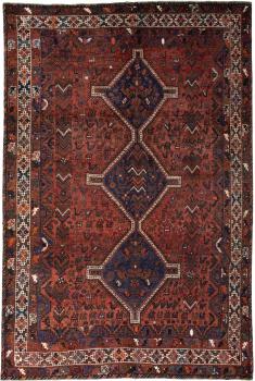 Shiraz 299x202