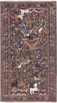 Baluch 219x121