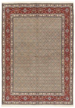 Moud Mahi 237x167