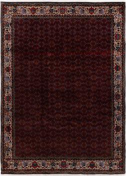 Bidjar 334x250