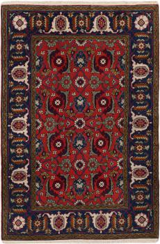 Shirvan Gamle 150x102