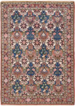 Bakhtiari Chaleshotor 148x103