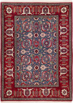 Shirwan 145x108