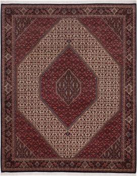 Bidjar 252x201
