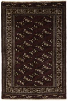Turcomano 234x156