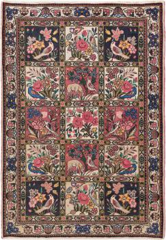 Bakhtiari Chaleshotor 150x113