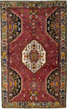 Shiraz 257x161