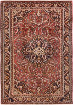 Lillian Vechi 314x219