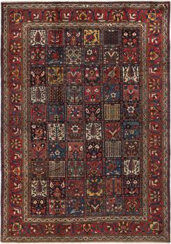 Bakhtiar Antic 305x213