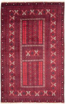 Afghan Mauri 245x161