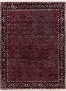 Bidjar 333x250